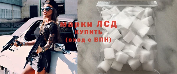 стаф Сосновоборск