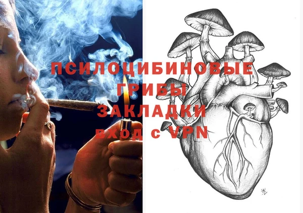 прущие крисы Горнозаводск