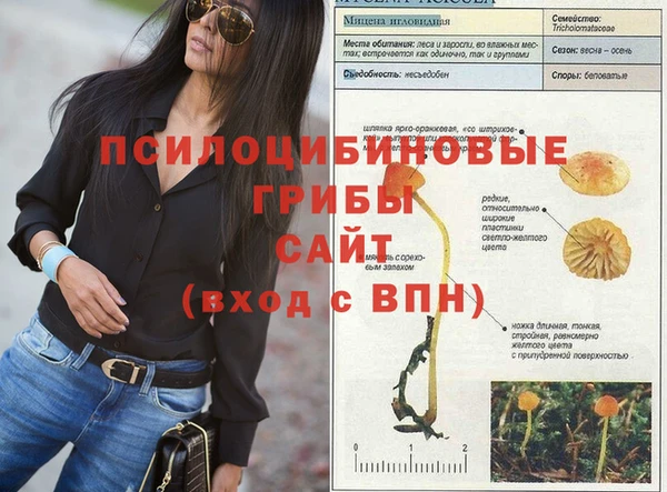 дурь Вязьма