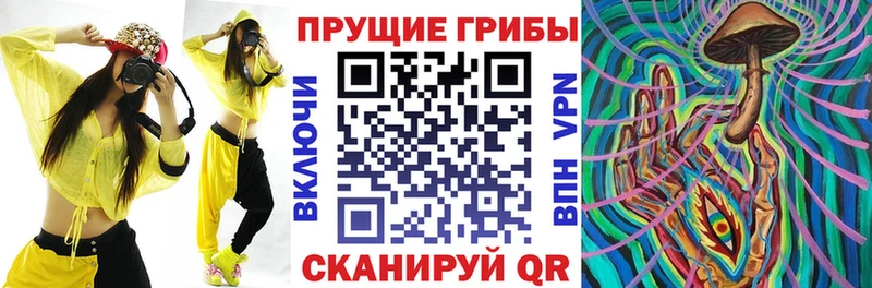 Псилоцибиновые грибы ЛСД  закладки  Инза 